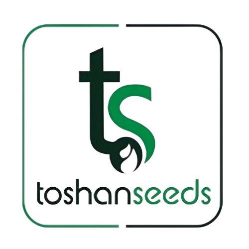 nkosh corporate partner