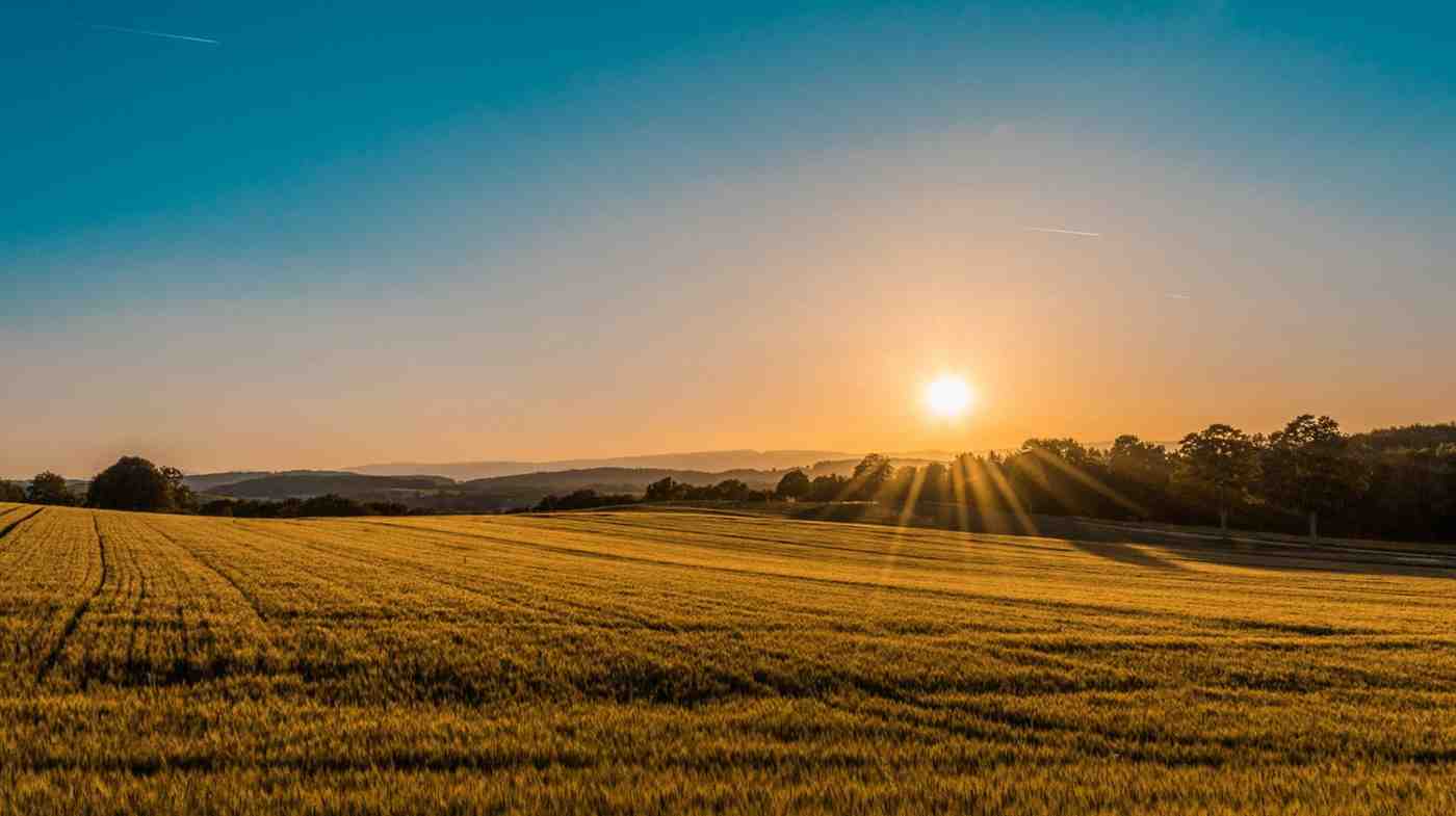 Agri Landscape Background