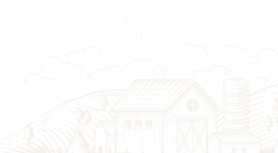 mission