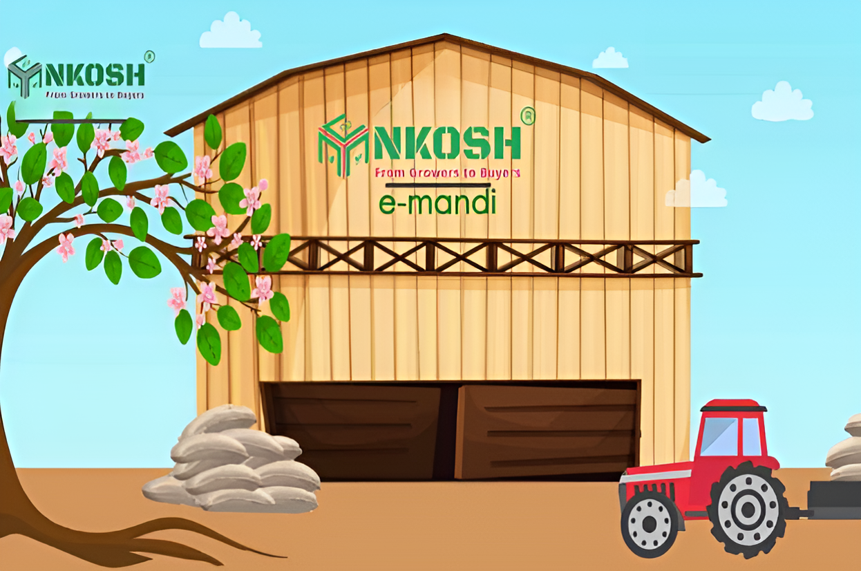 Advantages of e-Mandi Over Traditional Mandis...
