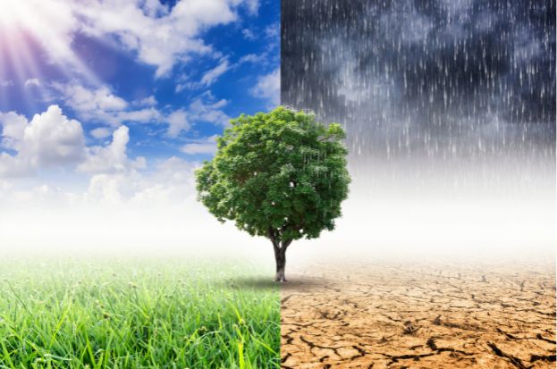 The Impact of Climate Change on Agriculture a...
