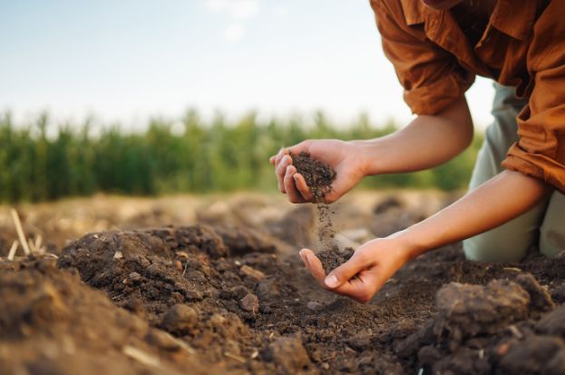 Soil Health Card Scheme