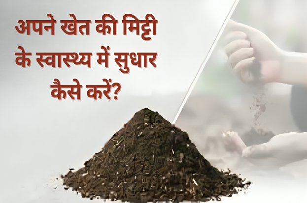 अपने खेत की मिट्टी के स्वास्थ्य में सुधार कैस...