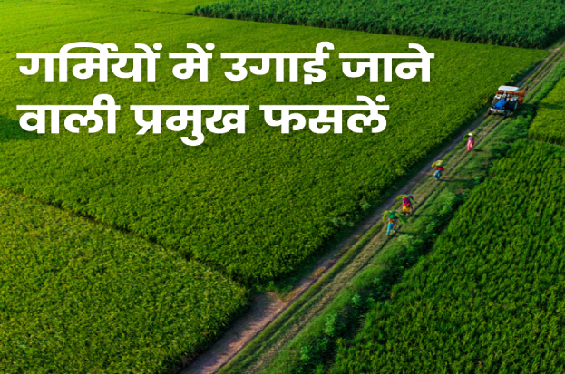 गर्मियों में उगाई जाने वाली प्रमुख फसलें | Cr...