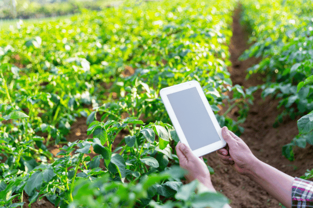 Farm Management in Kanpur: Best Practices and...