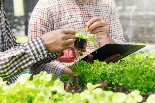 Agricultural Farming Courses in India: A Comp...