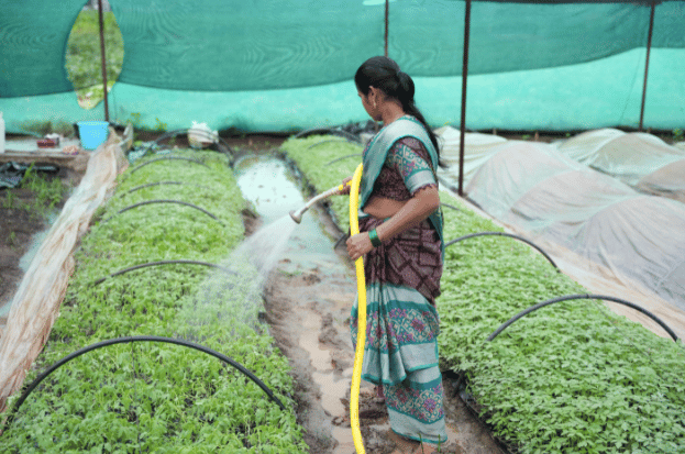 Types of Farming in India