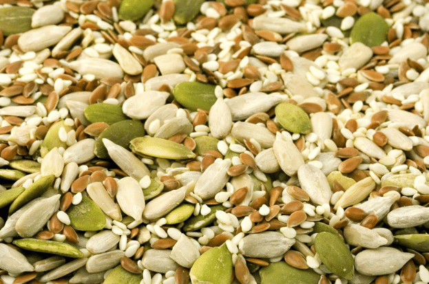 Vegetable Seeds in Kanpur: Cultivating Succes...