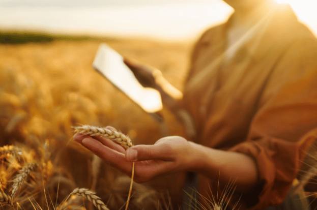 Nkosh Farmer App: Smart Farming