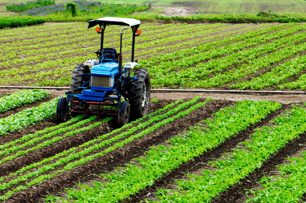 Uttar Pradesh Agriculture with Nkosh: Unveili...