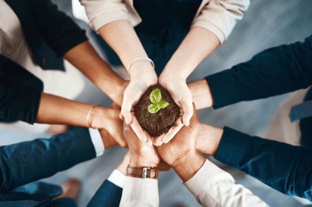 Cultivating Tomorrow: Exploring the Realm of ...