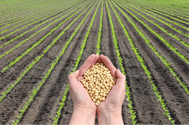 Agriculture in India: A Comprehensive Overvie...