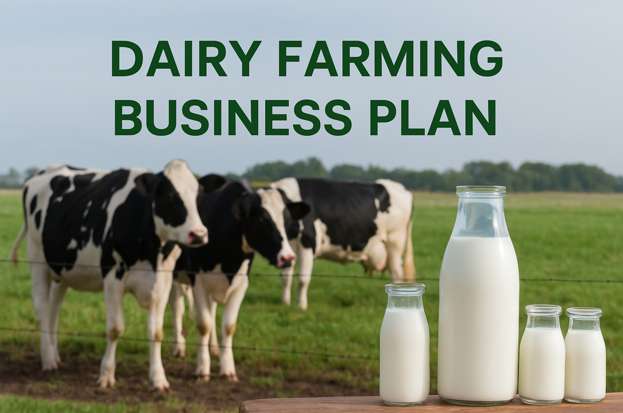 Dairy Farming Business Plan in India: Setup, ...