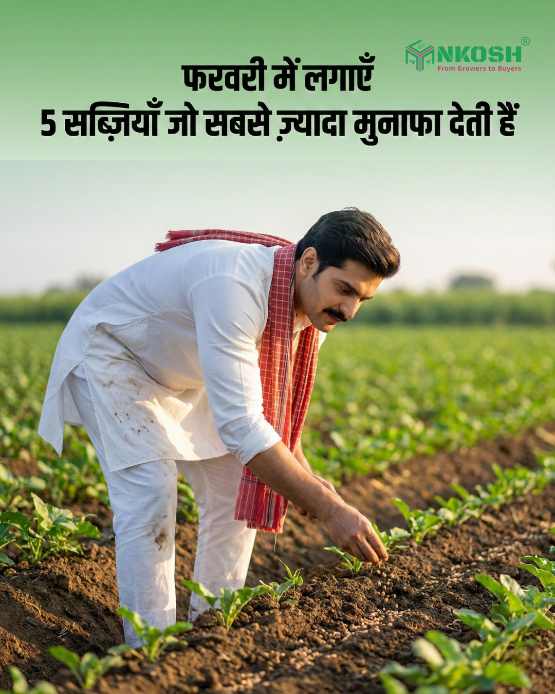 फरवरी की बुवाई से मुनाफा: भिंडी, खीरा, लौकी, ...